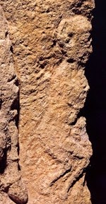 http://www.visual-arts-cork.com/images-prehistoric/roc-de-sers-human.jpg